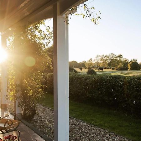 Surrey Lodge Brockenhurst Εξωτερικό φωτογραφία