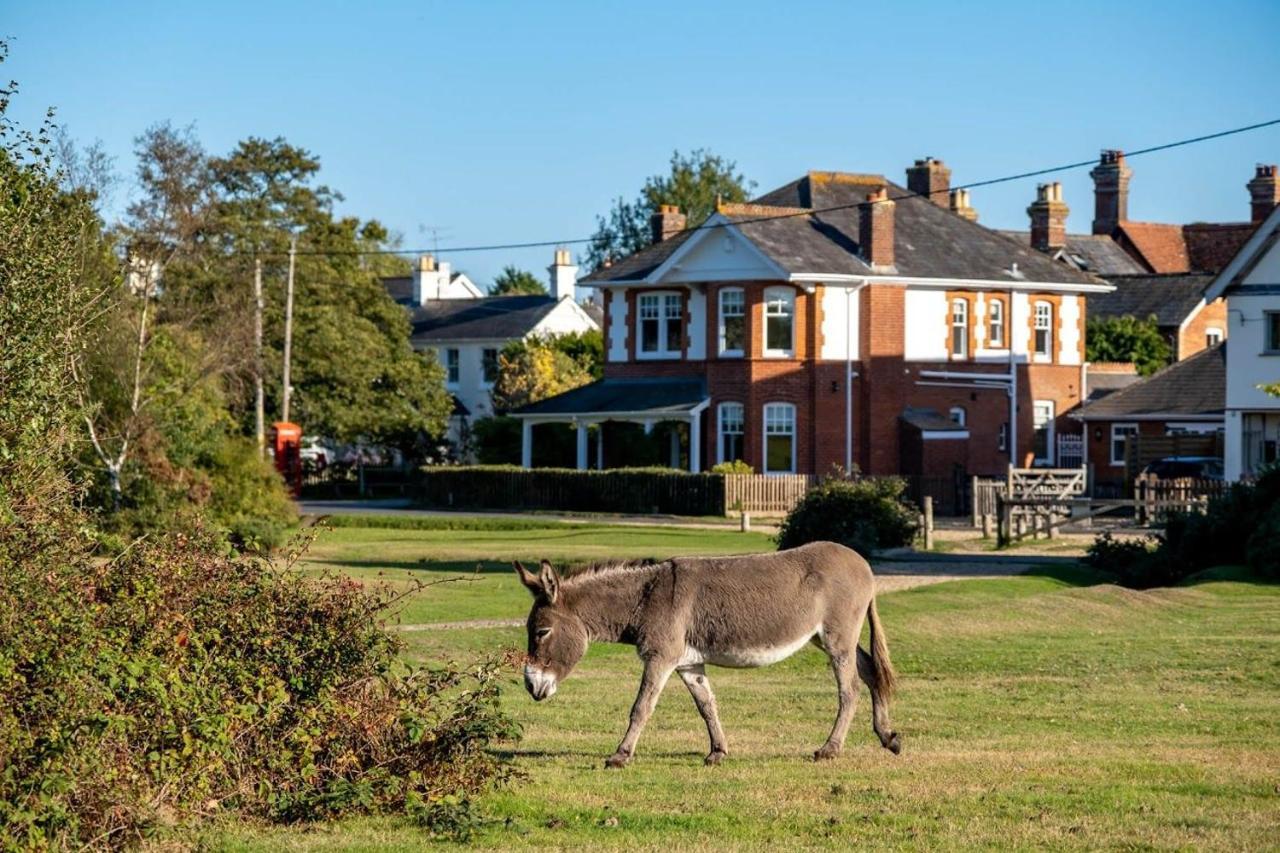 Surrey Lodge Brockenhurst Εξωτερικό φωτογραφία